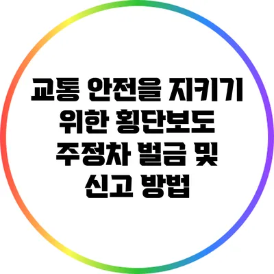 교통 안전을 지키기 위한 횡단보도 주정차 벌금 및 신고 방법